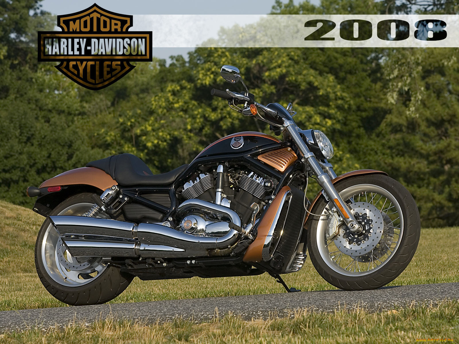 , harley, davidson